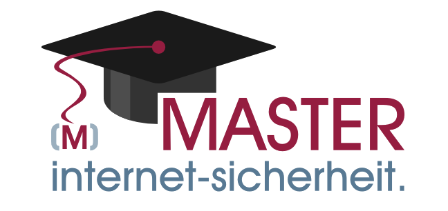 Master-internet-sicherheit Logo