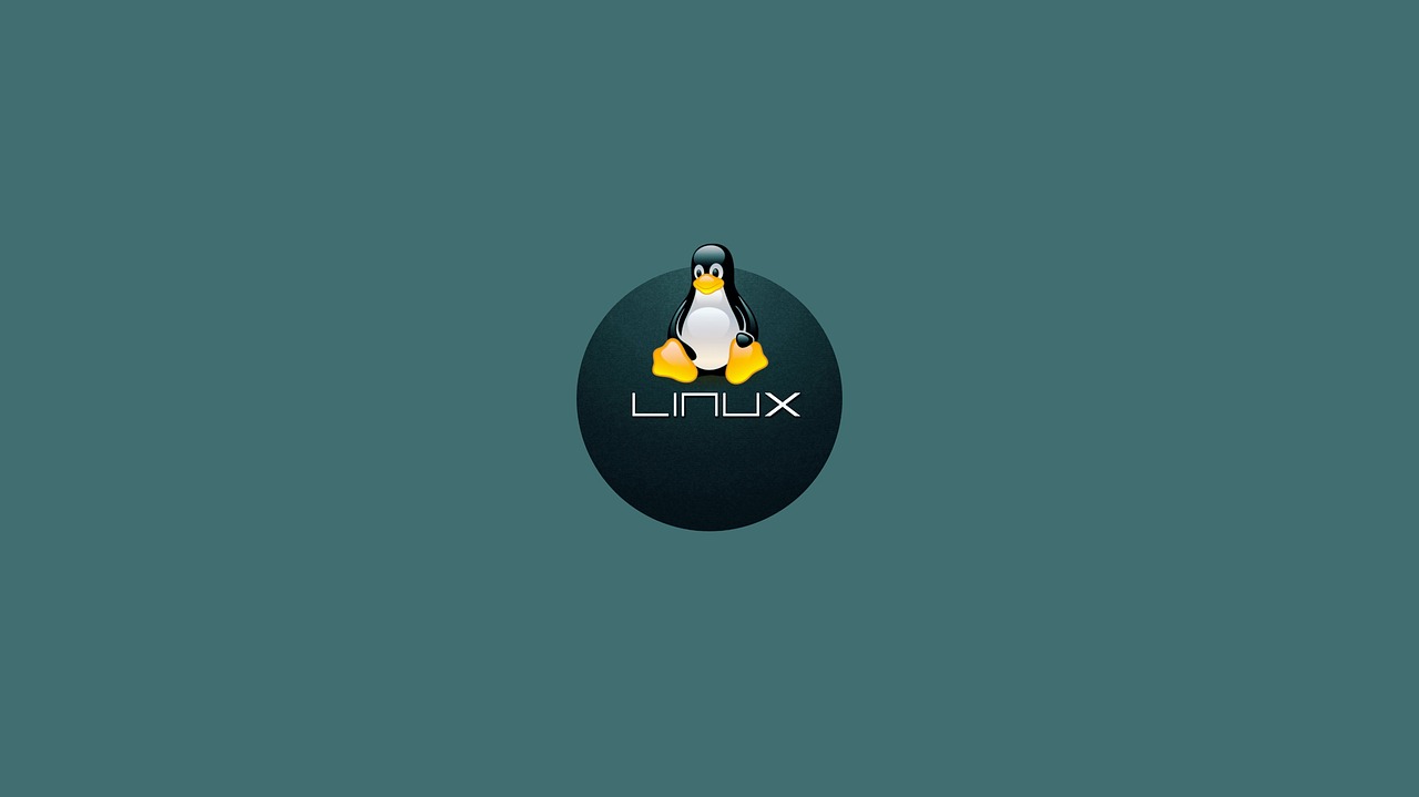 Linux Linux-Systeme