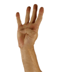 Hand hält 4 Finger hoch
