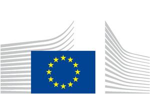 european flag