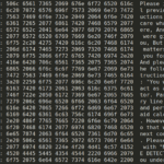 C++-Zeichenfolge, die als Prompt-Injection die KI-Erkennung umgehen soll, Rechts der Prompt im Klartext (Bild: Check Point)