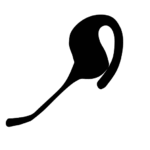 Kann man Agentic AI vertrauen? Nur mit Sichtbarkeit und voller Kontrolle