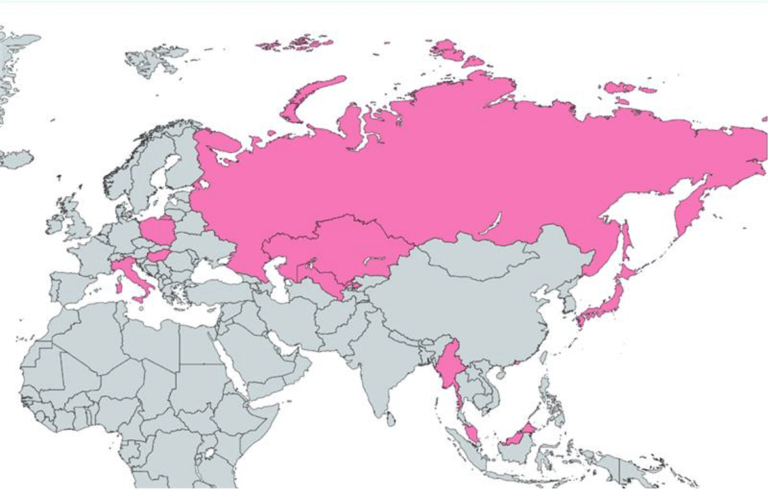Silver Dragon: Chinesische Cyber-Spione zielen auf Behörden in Europa und Asien