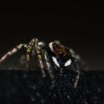 So viel kosten deutsche Online-Konten im Dark Web