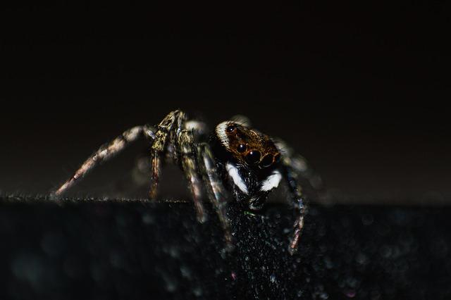 So viel kosten deutsche Online-Konten im Dark Web