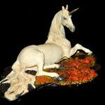 Einer für alle: Warum CISO seltener sind als Einhörner