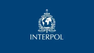 INTERPOL-Bericht zu KI und Cybercrime in Afrika
