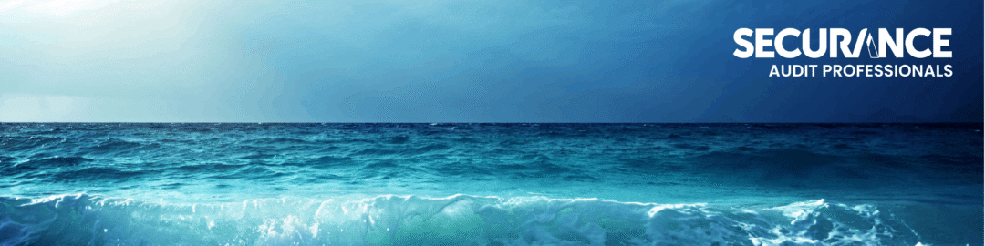 Securance Audit Professionals