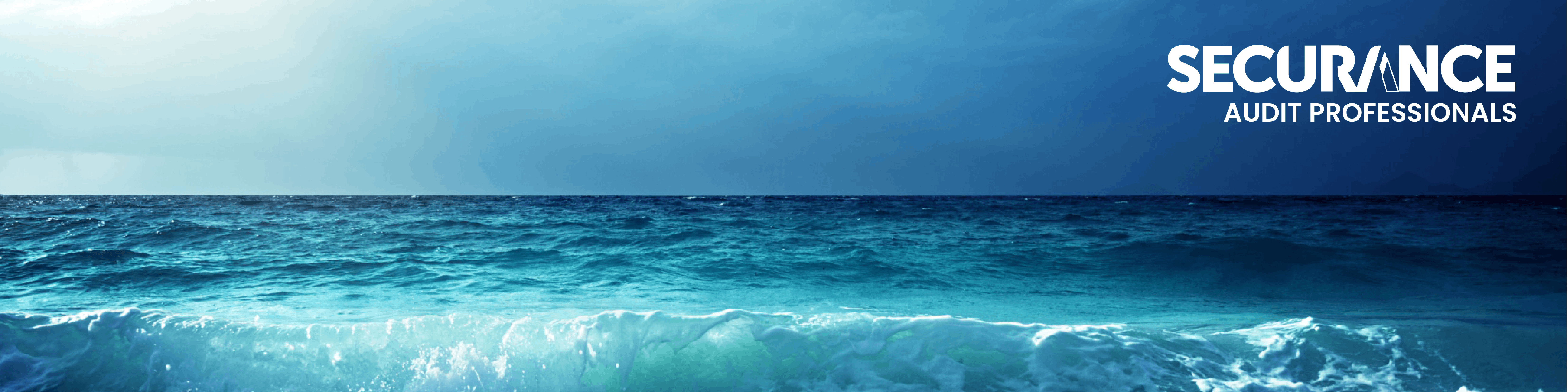 Securance Audit Professionals